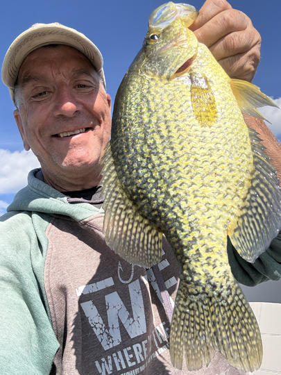 Black Crappie