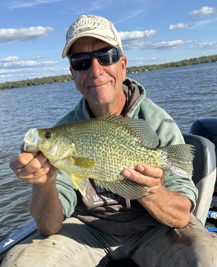 Black Crappie