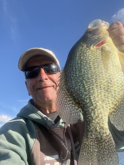 Black Crappie