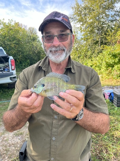 Sunfish