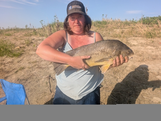 Freshwater Drum