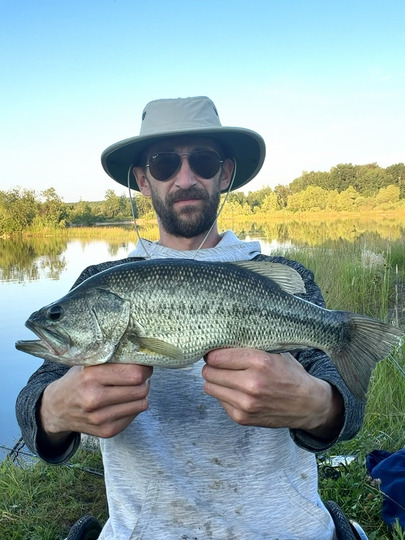 Largemouth Bass