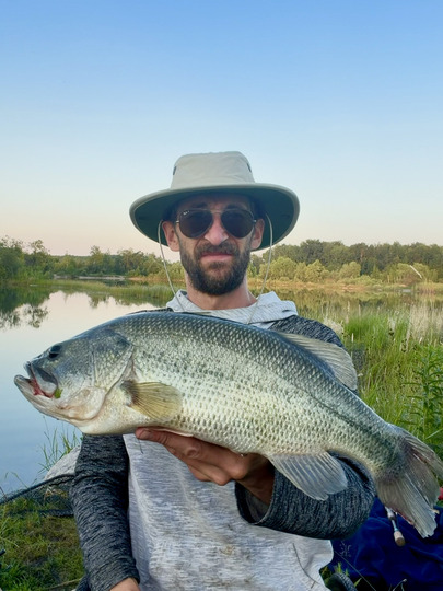 Largemouth Bass