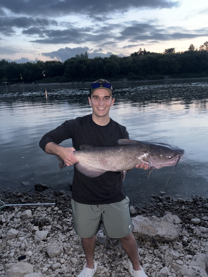 Channel Catfish