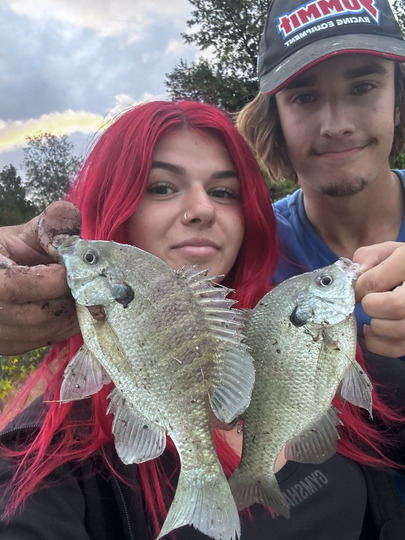 Sunfish