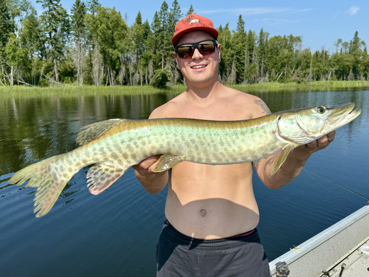 Muskellunge