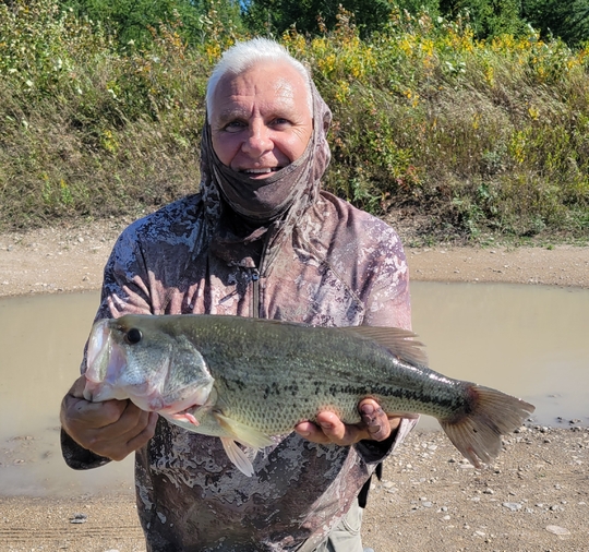 Largemouth Bass