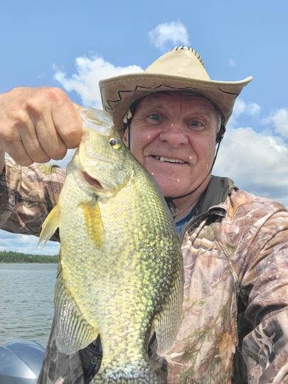 Black Crappie