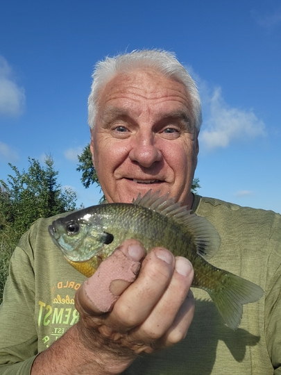 Sunfish