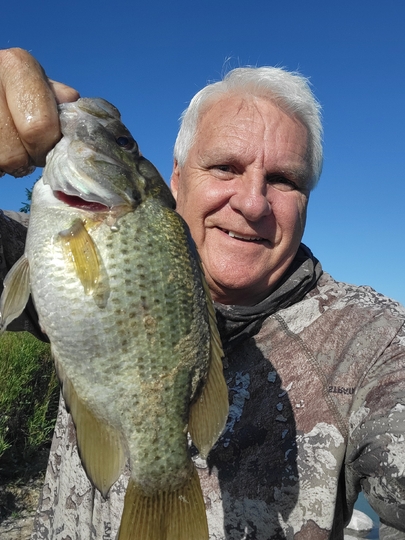 Rock Bass