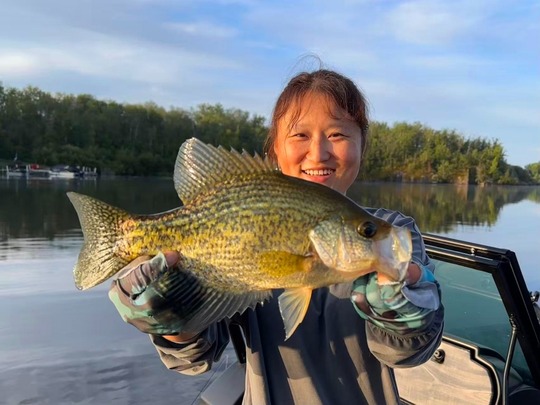 Black Crappie