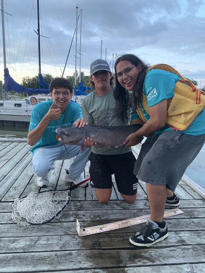 Channel Catfish
