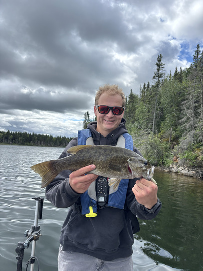 Smallmouth Bass