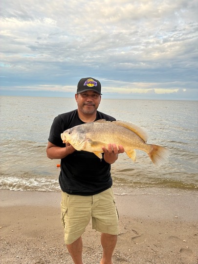 Freshwater Drum