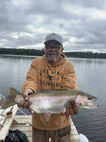 Rainbow Trout
