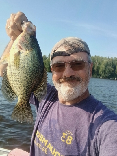 Black Crappie