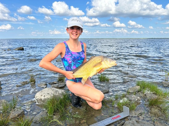 Freshwater Drum