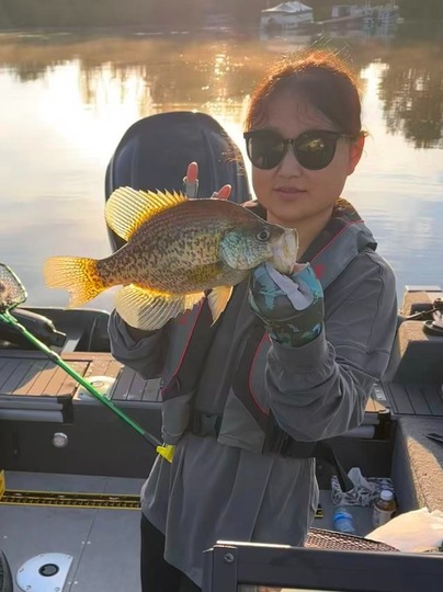 Black Crappie