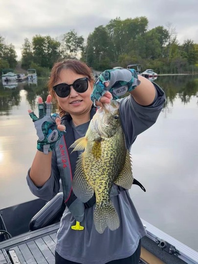 Black Crappie