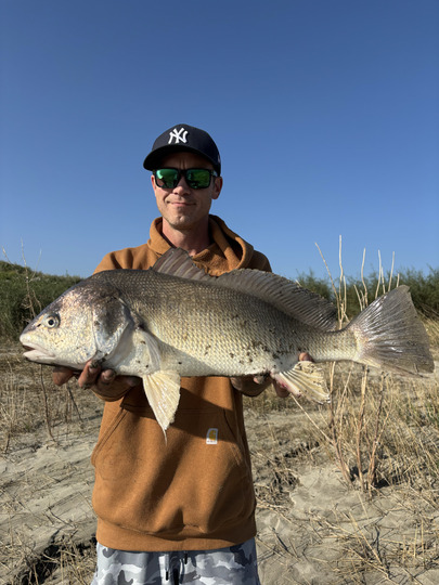 Freshwater Drum
