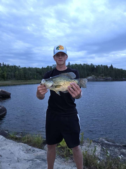 Black Crappie