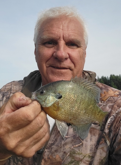 Sunfish