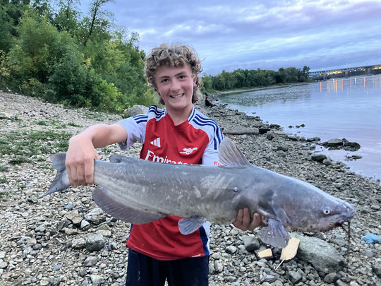 Channel Catfish