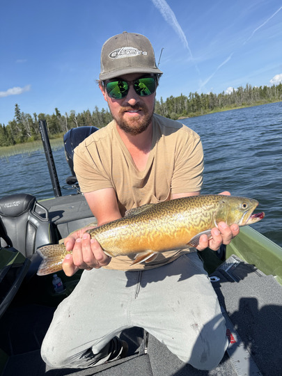 Tiger Trout