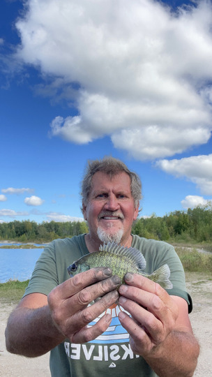 Sunfish