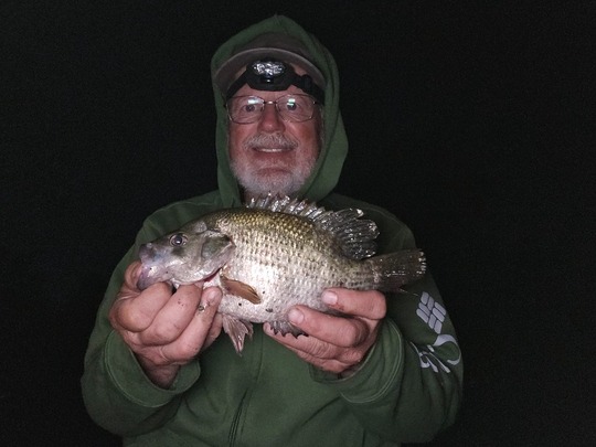 Rock Bass