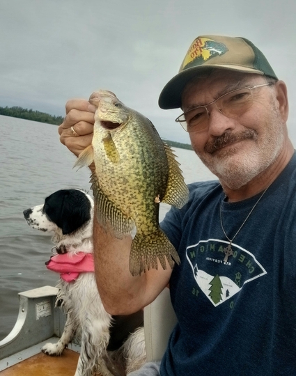 Black Crappie