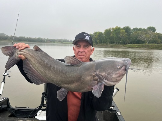 Channel Catfish