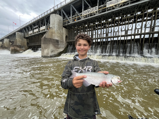 Goldeye