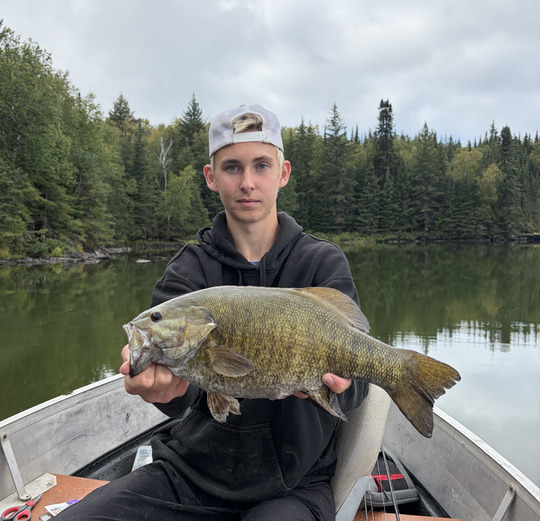 Smallmouth Bass