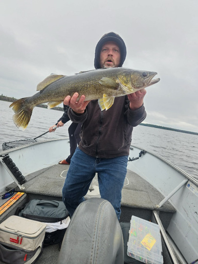 Walleye