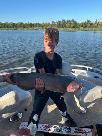Channel Catfish