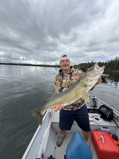 Walleye