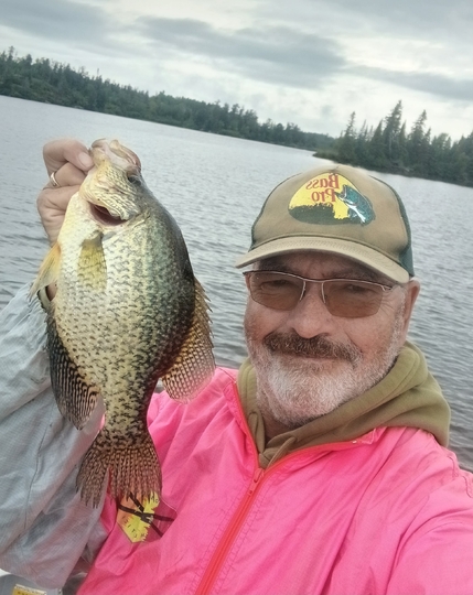 Black Crappie