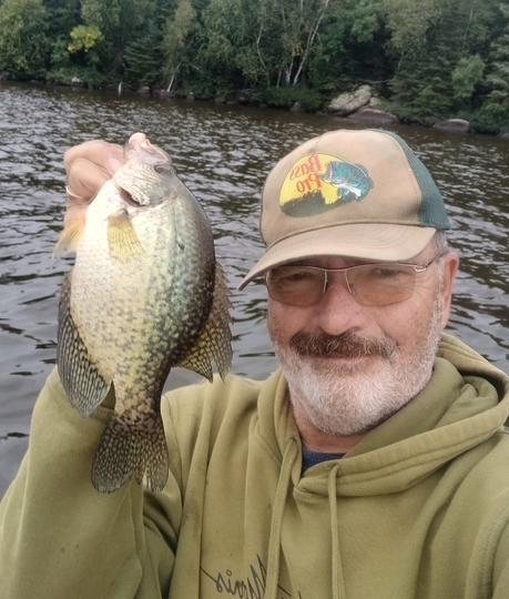Black Crappie