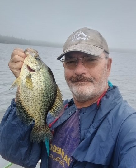 Black Crappie