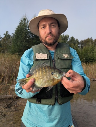 Sunfish