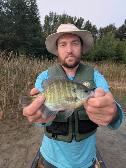 Sunfish
