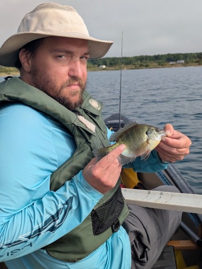 Sunfish