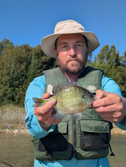 Sunfish