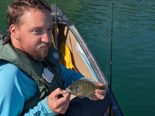 Sunfish