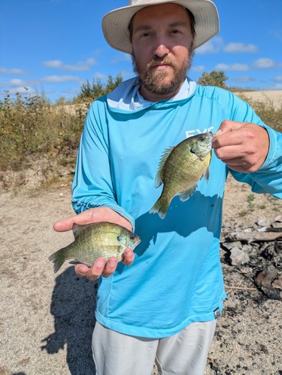Sunfish