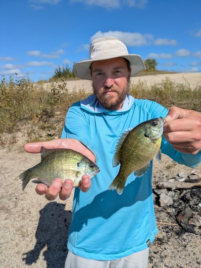 Sunfish
