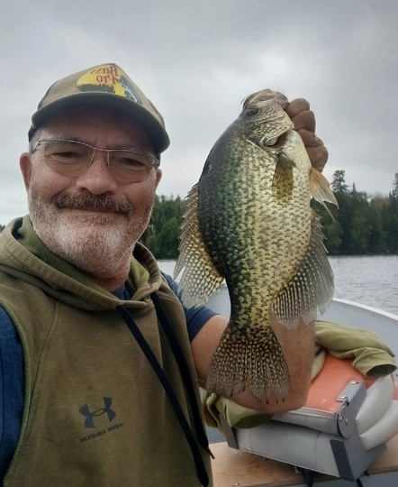 Black Crappie