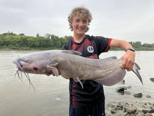Channel Catfish