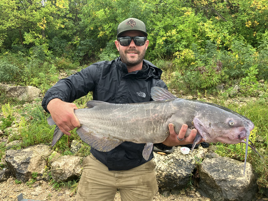 Channel Catfish